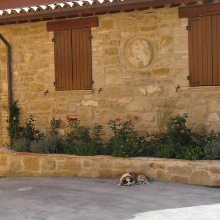 Pietra Maula Agriturismo Castelraimondo Екстериор снимка