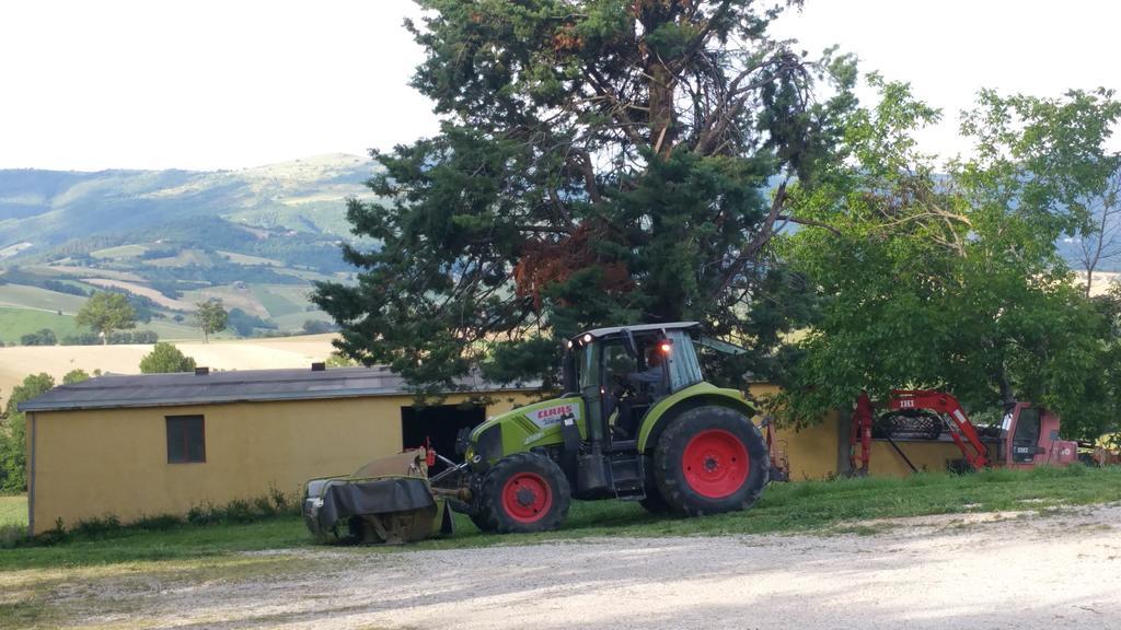 Pietra Maula Agriturismo Castelraimondo Екстериор снимка