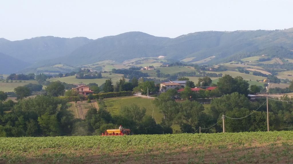 Pietra Maula Agriturismo Castelraimondo Екстериор снимка