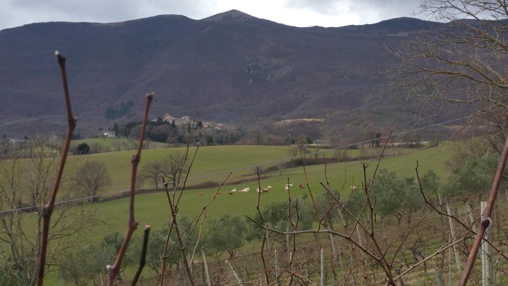 Pietra Maula Agriturismo Castelraimondo Екстериор снимка