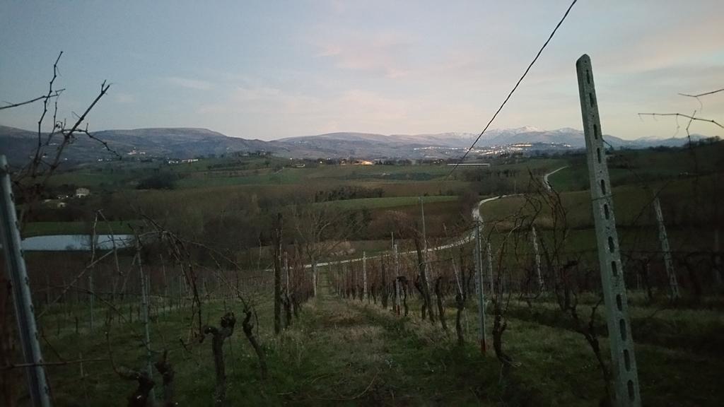 Pietra Maula Agriturismo Castelraimondo Екстериор снимка
