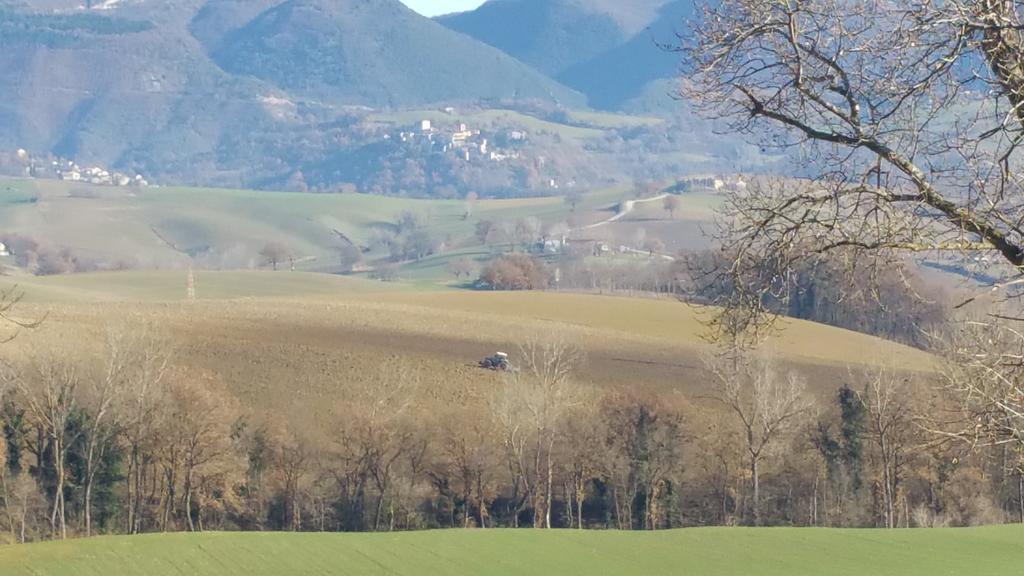 Pietra Maula Agriturismo Castelraimondo Екстериор снимка